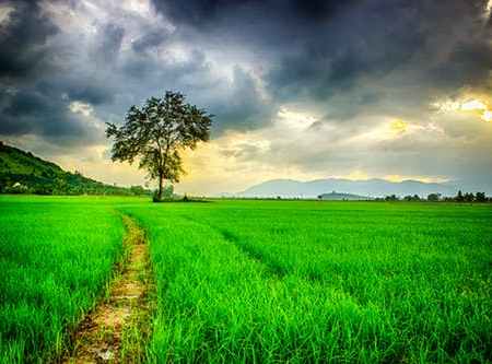 Finding Complete Rest in Christ